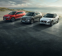 SUV Experience